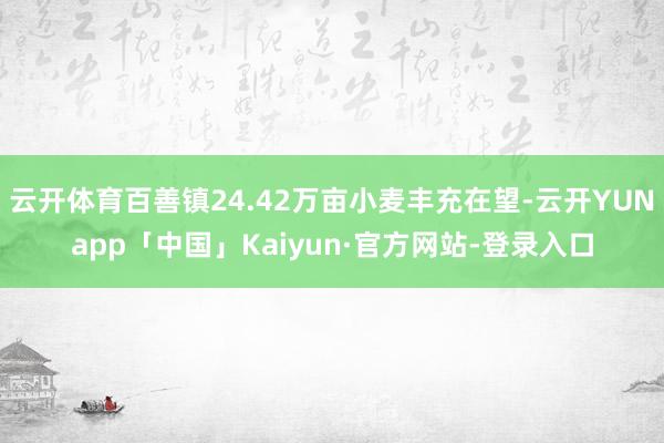 云开体育百善镇24.42万亩小麦丰充在望-云开YUNapp「中国」Kaiyun·官方网站-登录入口