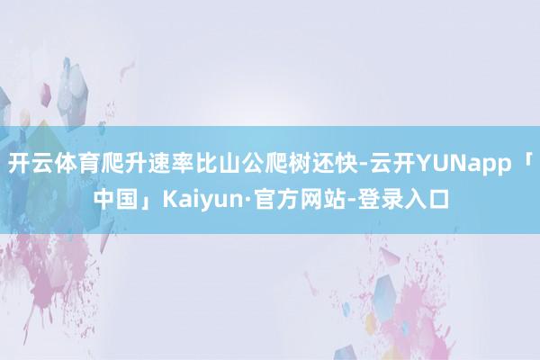 开云体育爬升速率比山公爬树还快-云开YUNapp「中国」Kaiyun·官方网站-登录入口