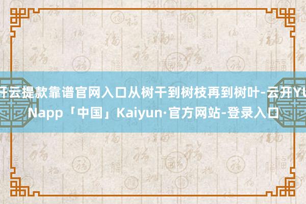 开云提款靠谱官网入口从树干到树枝再到树叶-云开YUNapp「中国」Kaiyun·官方网站-登录入口