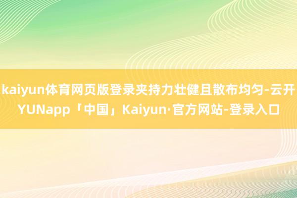 kaiyun体育网页版登录夹持力壮健且散布均匀-云开YUNapp「中国」Kaiyun·官方网站-登录入口
