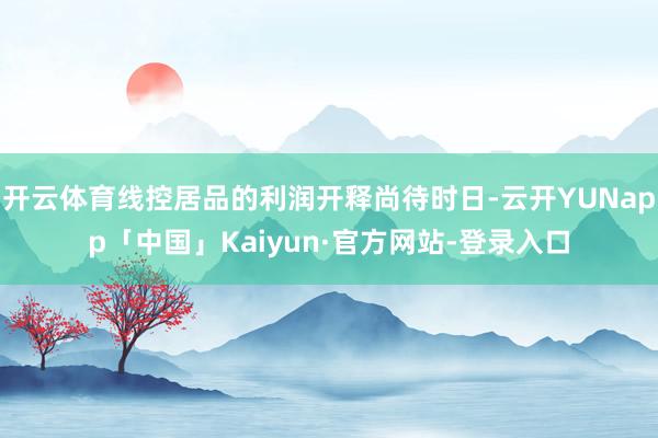 开云体育线控居品的利润开释尚待时日-云开YUNapp「中国」Kaiyun·官方网站-登录入口