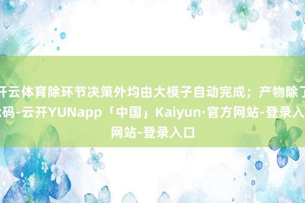 开云体育除环节决策外均由大模子自动完成；产物除了代码-云开YUNapp「中国」Kaiyun·官方网站-登录入口
