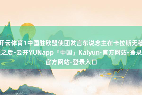 开云体育1中国驻欧盟使团发言东说念主在卡拉斯无稽之谈之后-云开YUNapp「中国」Kaiyun·官方网站-登录入口